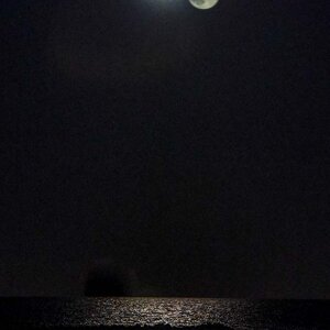 22f9a5074190e8eaacf45858ace997af8950230a