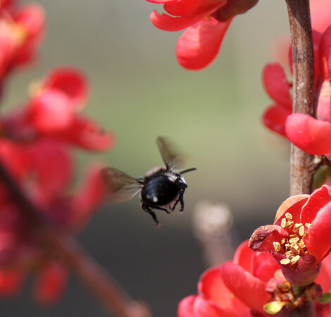 img_0917.jpeg