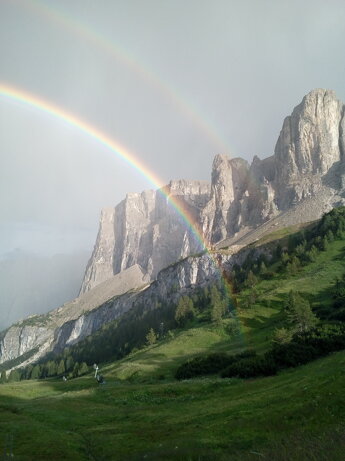 0bfc347d72d53d10b644e8872c15de559cd8d41d