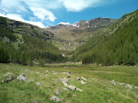 7233de7d6b9ba94915e075857a583c7cec7788c0