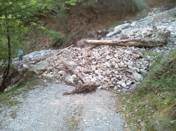 bf397c92e7c1d2010db7d144e3b04a05c0754c75