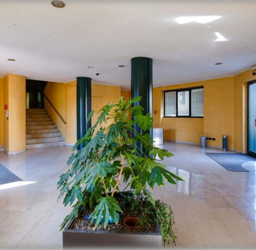 Uffici - 400 mq Sesto San Giovanni