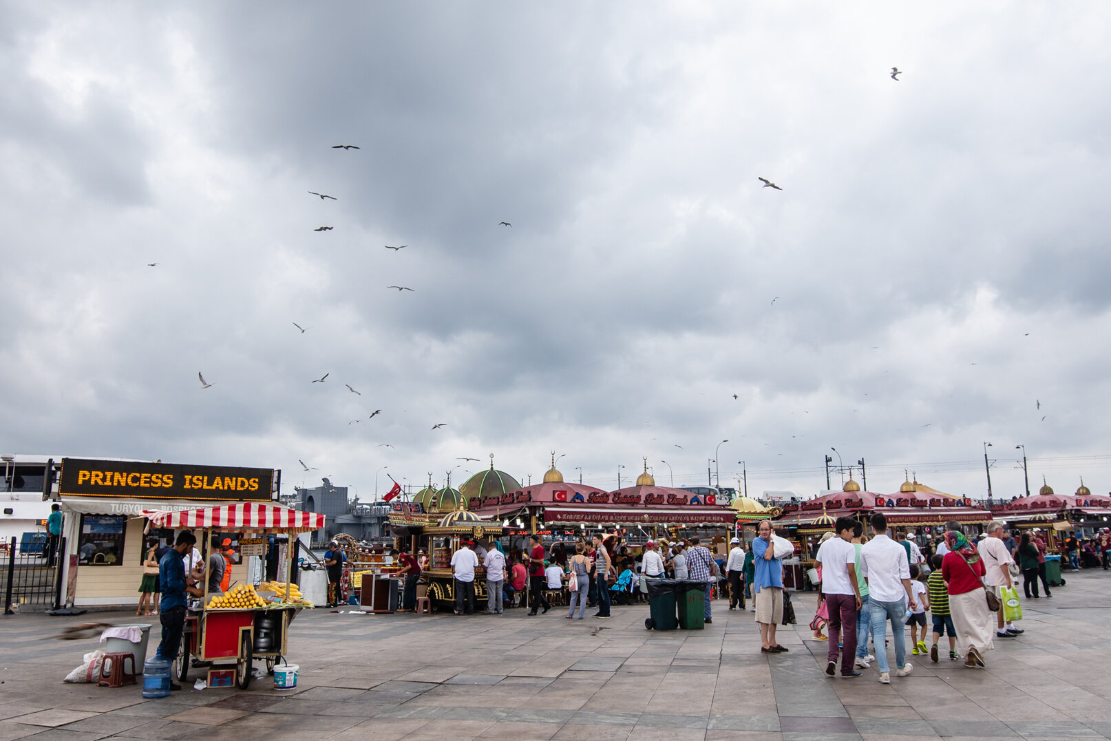 istanbul 2015 © giorgio barbato-4283.jpeg