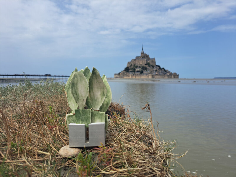 bosco-da-viaggio-francia-mont-saint-michel-20230823_135108.jpeg