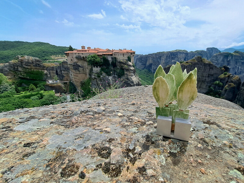 bosco-da-viaggio-grecia-meteora-20240923_160039.jpeg