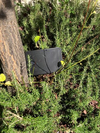 whatsapp image 2025-12-15 at 19.45.43 (1).jpeg