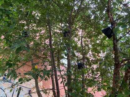 whatsapp image 2025-12-15 at 19.44.44.jpeg whatsapp image 2025-12-15 at 19.44.44.jpeg