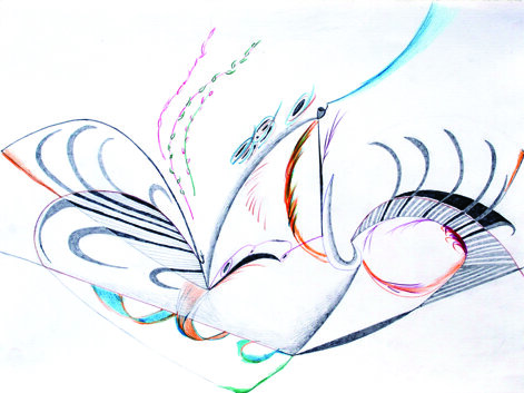 disegno con ll 6 n.jpeg disegno con ll 6 n.jpeg