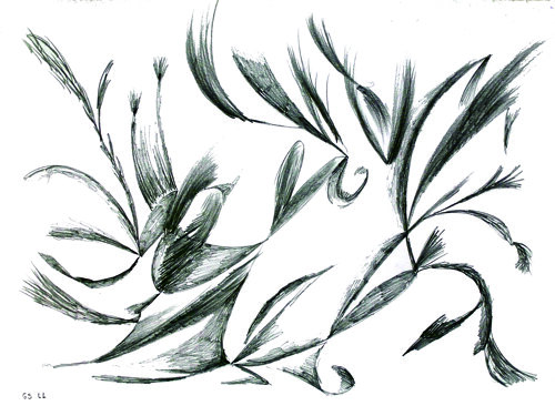 001 - disegno interattivo 1 con ll matita su cartoncino 2 n.jpeg 001 - disegno interattivo 1 con ll matita su cartoncino 2 n.jpeg