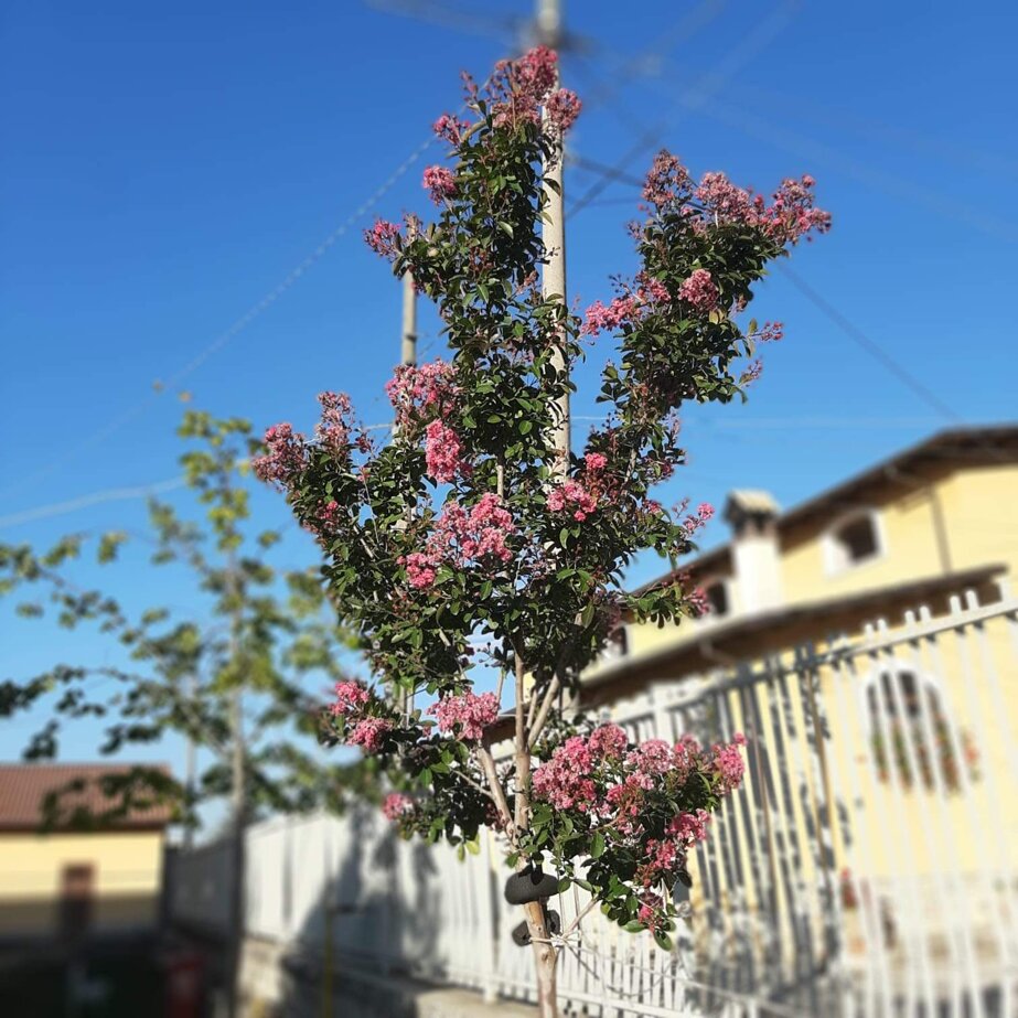 a889c95a9891260d6775eb68134c5ba84edb9edb.jpeg a889c95a9891260d6775eb68134c5ba84edb9edb.jpeg