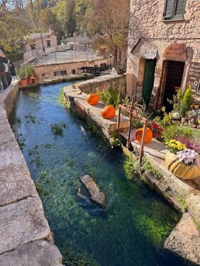 img_5885.jpeg