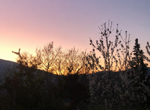 img_3239.jpeg