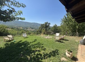 img_5908.jpeg