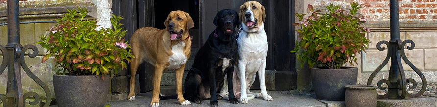 a283b2522403ee4185a5c834ab3dcdbce83ad3fd