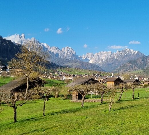 pale_di_san_martino.jpeg
