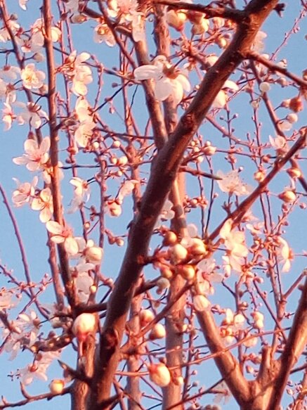 27be51cf7b14e7ac77de77ecc973a21ce7a7b328 27be51cf7b14e7ac77de77ecc973a21ce7a7b328