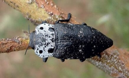 307128e52500caaf3ca1087500fa024a9e1b44ce 307128e52500caaf3ca1087500fa024a9e1b44ce