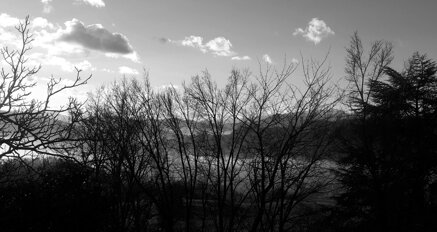 39154c6cd35438e24a056dd88c0a184f861a2f0f