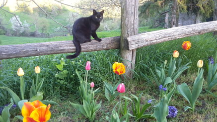 89a30f36f654816d89024c02e2310a7acf901269 89a30f36f654816d89024c02e2310a7acf901269