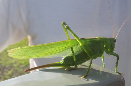 b66bed4b185013a6c34011ff6355b5871ead9781 b66bed4b185013a6c34011ff6355b5871ead9781