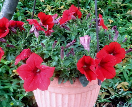 bf071399f7c97ae0ef7bc8c65cd11baa56598293 bf071399f7c97ae0ef7bc8c65cd11baa56598293