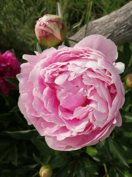 e7b2b1427618274024f68787b24ba21e2606d39f e7b2b1427618274024f68787b24ba21e2606d39f