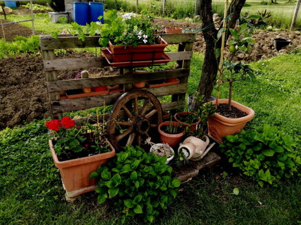 ed1e5b21ea6d4374d61271cdd0ea70a3fd173194 ed1e5b21ea6d4374d61271cdd0ea70a3fd173194