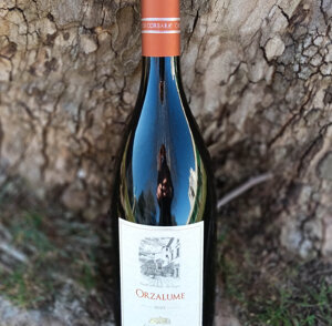 file_00000000e848622fa7fb81259a694ebe%20(1)