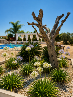 piscina_ piscina_