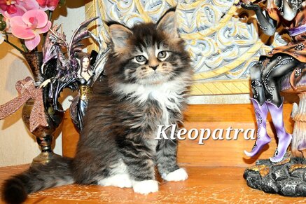 whatsapp image 2026-03-20 at 14.14.07.jpeg