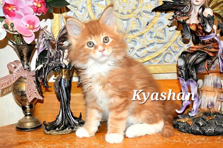 whatsapp image 2026-03-20 at 14.14.08.jpeg