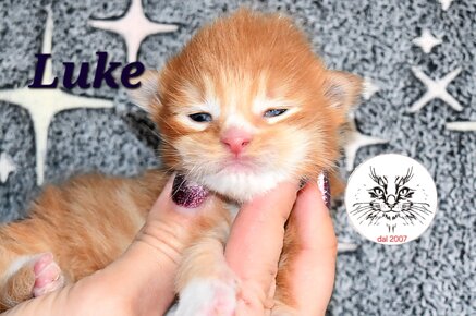 whatsapp image 2026-03-31 at 11.27.21.jpeg