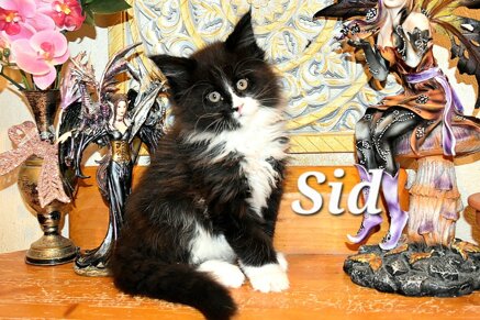 whatsapp image 2026-03-20 at 14.14.08 (1).jpeg