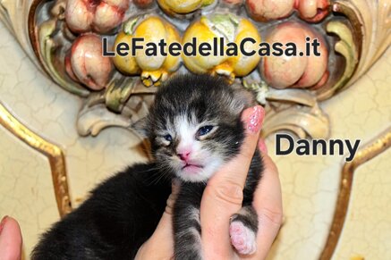 whatsapp image 2026-09-29 at 21.24.13 (3).jpeg