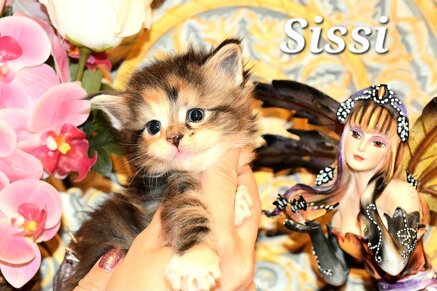 whatsapp image 2026-03-20 at 09.34.37 (2).jpeg