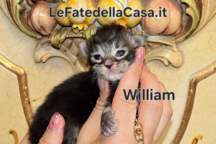 whatsapp image 2026-09-29 at 21.24.13 (1).jpeg