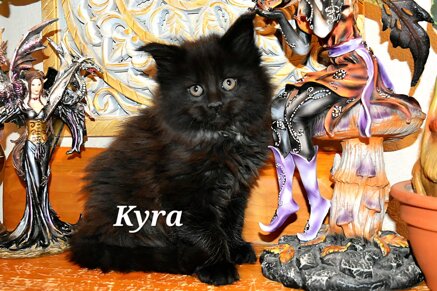 whatsapp image 2026-03-20 at 14.14.08 (2).jpeg