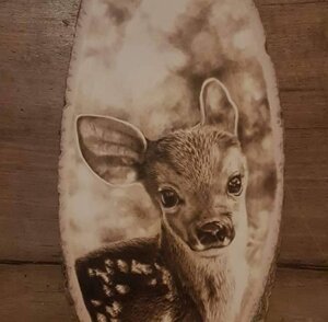 536281099_4158719551122472_6519351048078589705_n.jpeg 536281099_4158719551122472_6519351048078589705_n.jpeg