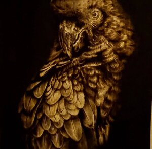 536273193_4158719657789128_2207043253245333720_n.jpeg 536273193_4158719657789128_2207043253245333720_n.jpeg