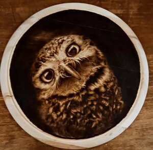 534993246_4158719644455796_4619900769665868376_n.jpeg 534993246_4158719644455796_4619900769665868376_n.jpeg