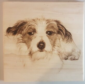 da857eff82c32440e021d4d0e4101490ca937547 da857eff82c32440e021d4d0e4101490ca937547