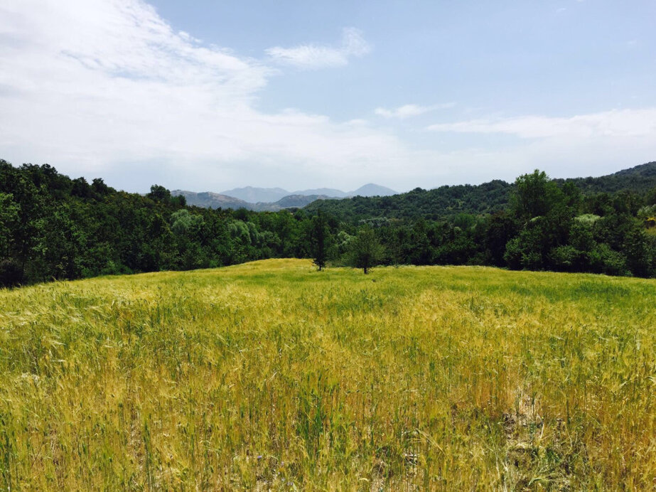 10c2b26c2d2afc1a882356641377eec235fa6f46