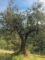 2a5bbafeee5605f45f8acc56f08e3e2cf67e9064