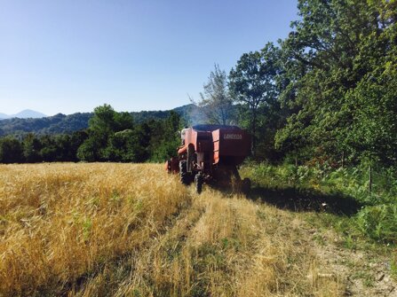 2cbe5d607d423269fd7a568e725ea01a38dd06f0