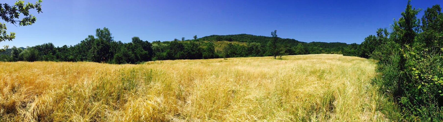 453d85f8f0f2ea048a3f31735afa25ae3d9db881