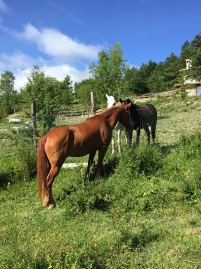 456b29d3ae393090ab27013dbd50d7142b852253