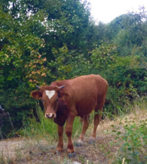 a6c2ec8a6b26325aac500e3c4f176eb5af1b915e