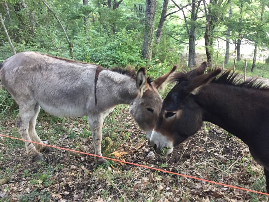 f360e1962b75c3cefd57f11558d36de6b215d83d