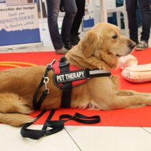 Pet Therapy e Animal Care Coadiutori animali e Operatori servizi di cura non veterinaria