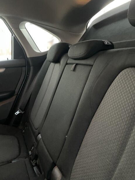 img_4973.jpeg img_4973.jpeg